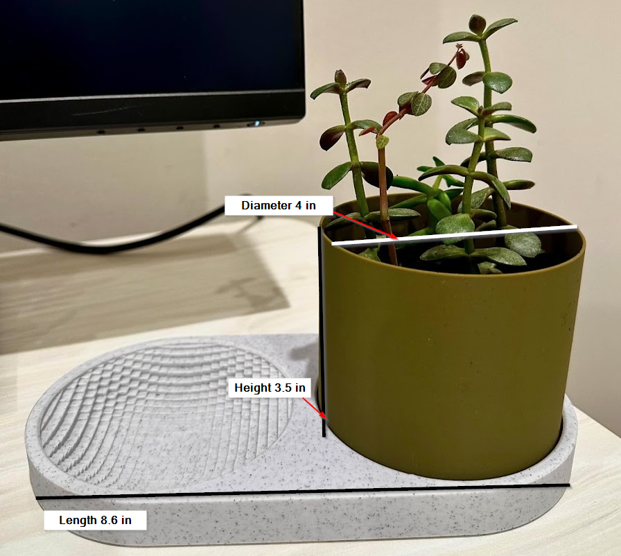 Seed & Stash: Tray with Planter