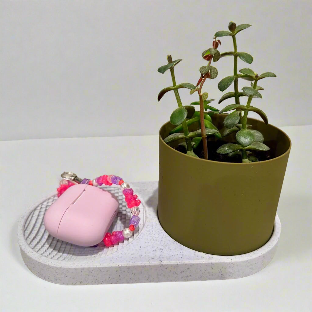 Seed & Stash: Tray with Planter