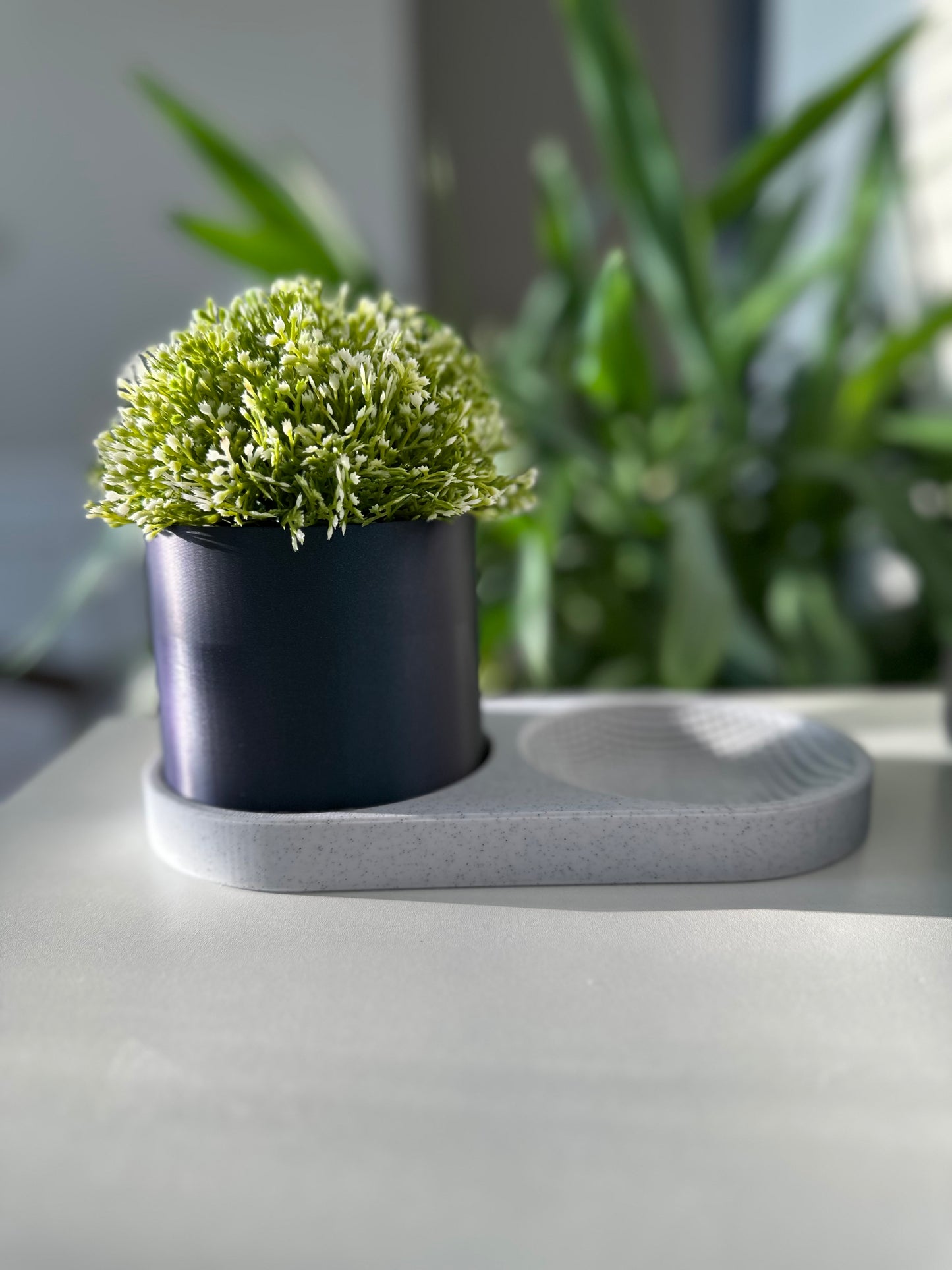 Seed & Stash: Tray with Planter