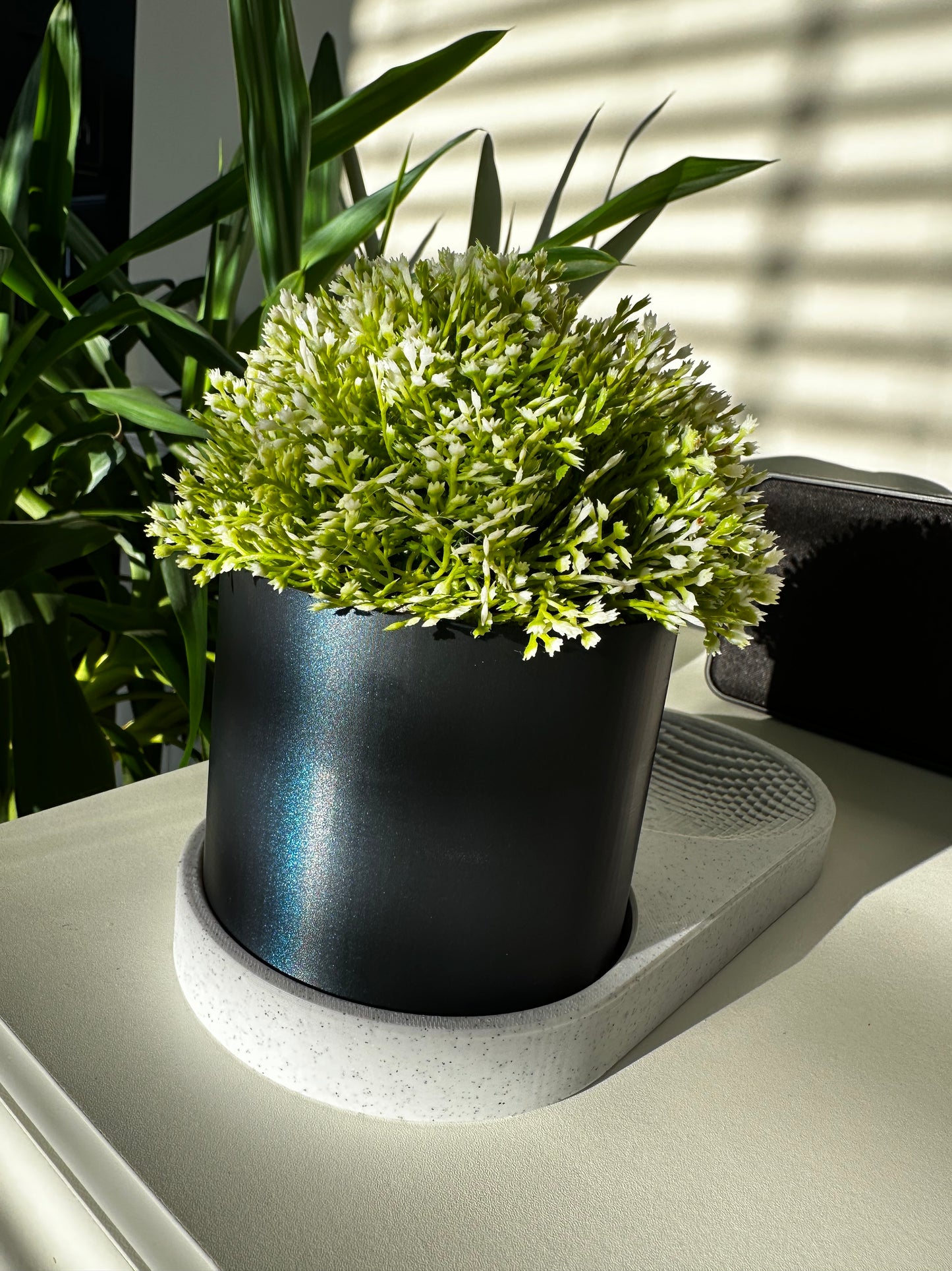 Seed & Stash: Tray with Planter