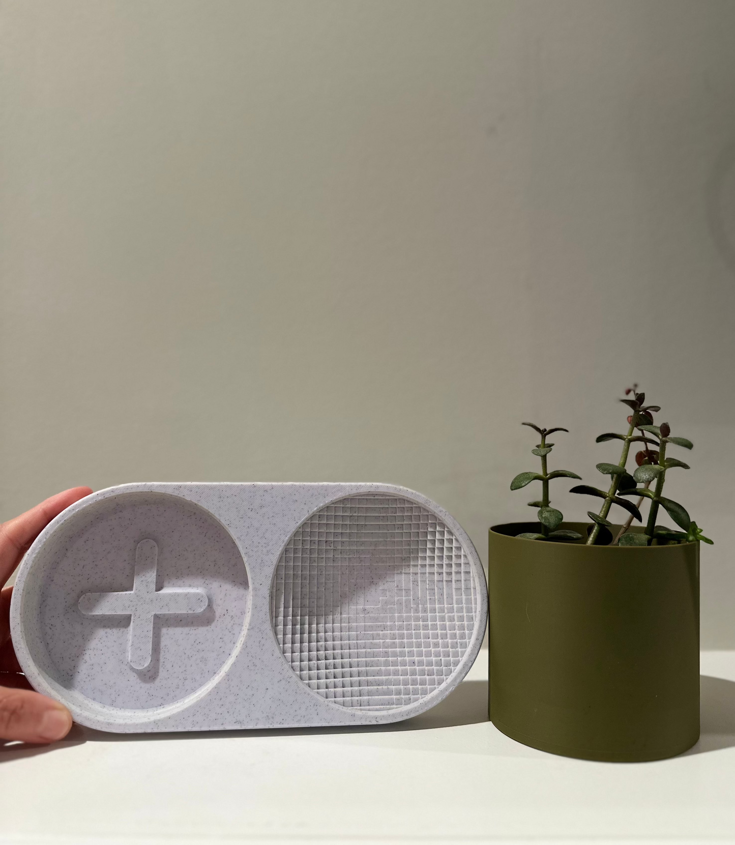 Seed & Stash: Tray with Planter