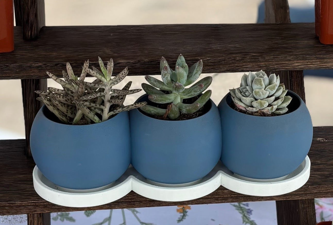 TriSphere Planter