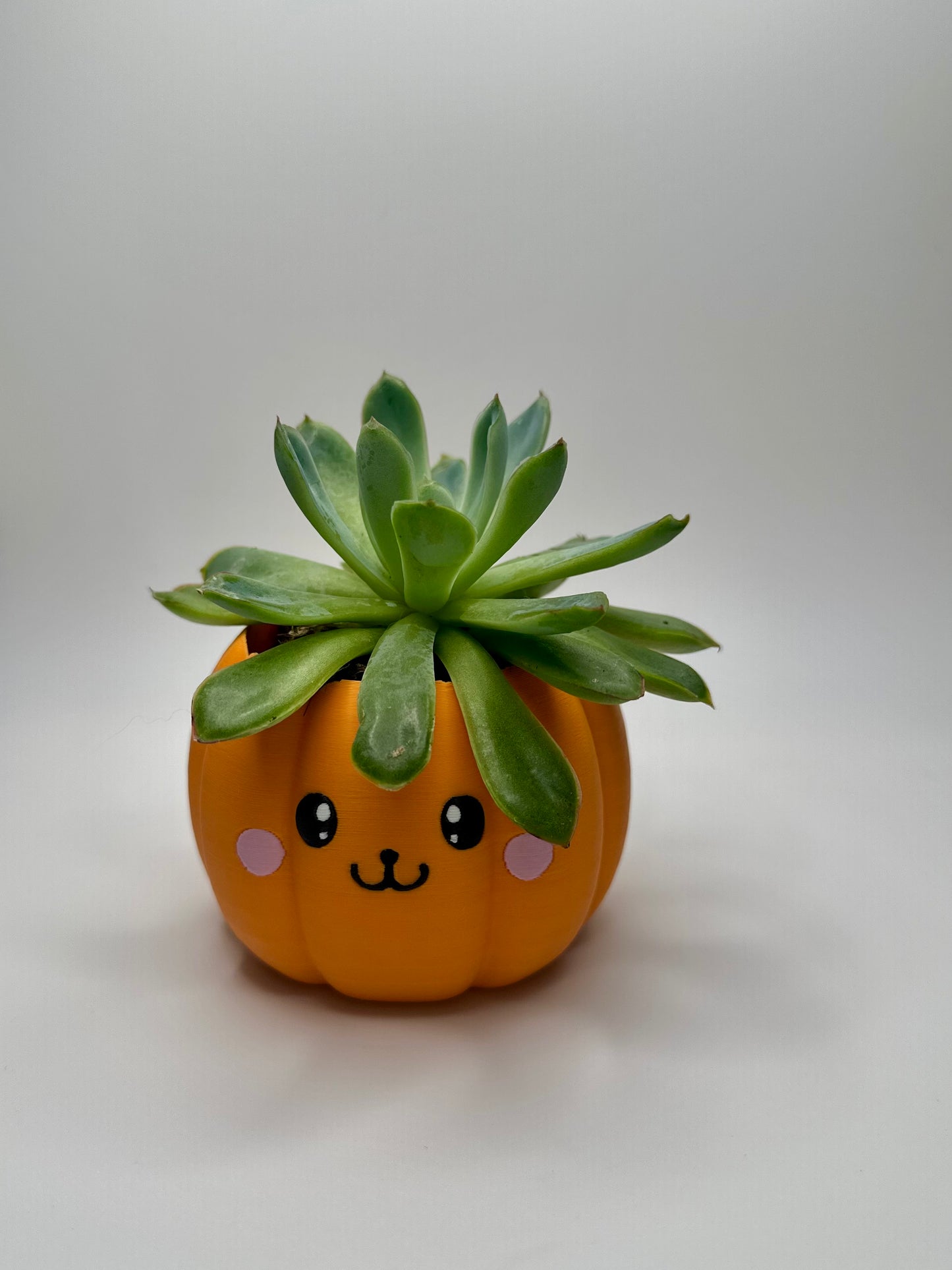 Cute Ghost and Pumpkin Planter.