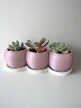 TriSphere Planter