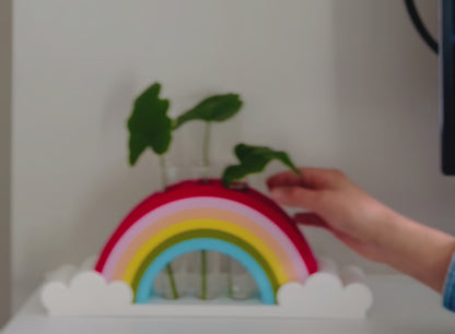 Rainbow Plant Propagation Station with 3 glass tubes, water hydroponics holder.